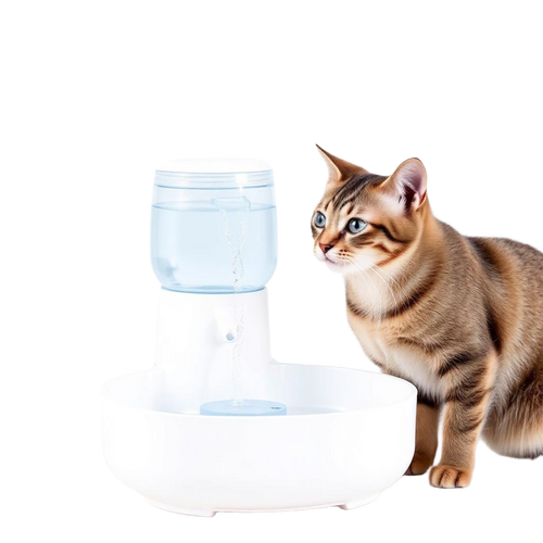 Cat Water Fountain